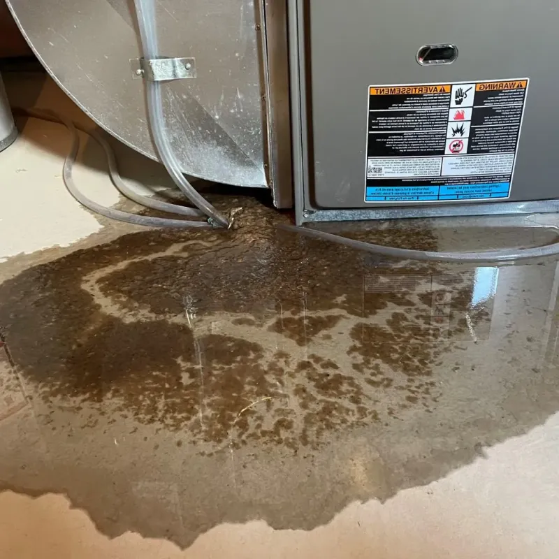 Pipe Burst and Leak Restoration in Columbus Grove, OH