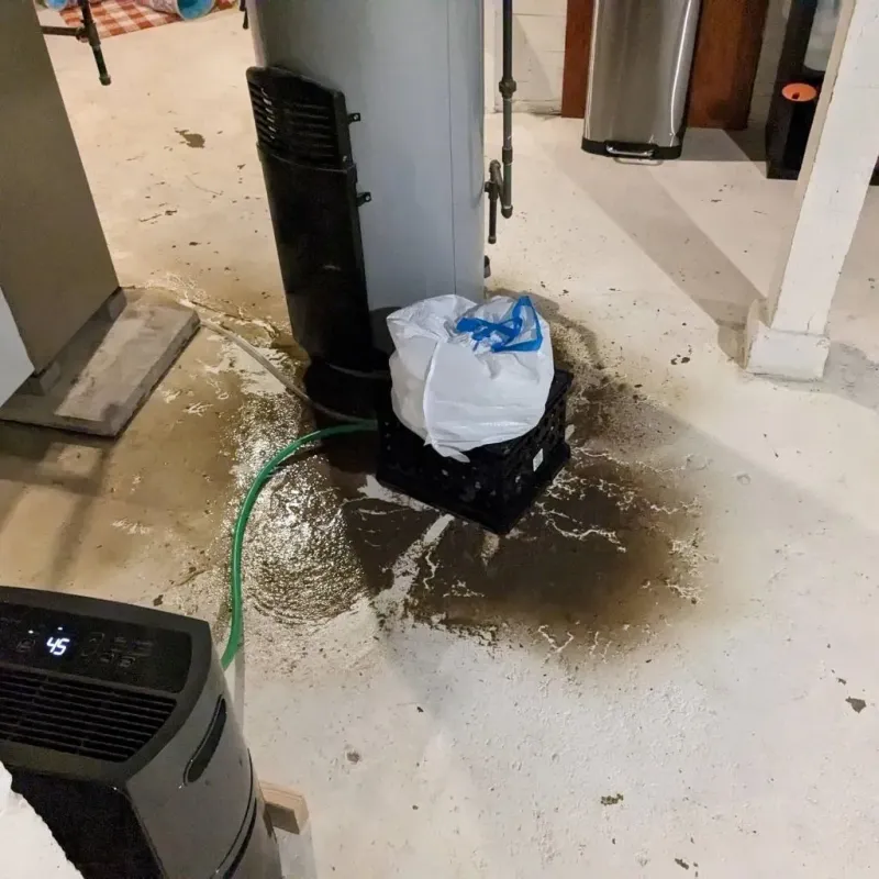 Sewage Backup Cleanup Service in Columbus Grove, OH